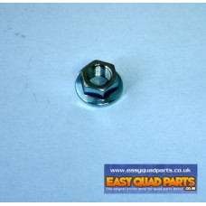 Apache RLX 450 ACG/Magneto/Generator Locknut