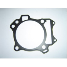 Apache RLX 450 Cylinder Base Gasket