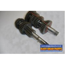 Apache RLX 450 Gearbox Complete