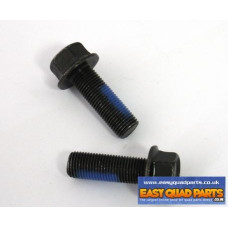 Apache RLX 100 rear axle carrier bolts 12 x 36mm