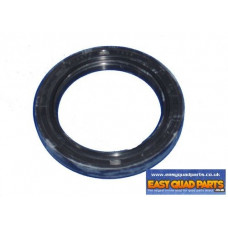 Apache RLX F100 L/H Axle Carrier Seal Disc Side