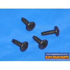 Apache RLX 100  side panel screws 2009 model