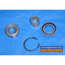 Apache RLX 100cc 09> Steering Shaft Bush Kit