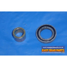 Apache RLX 100cc 09> Steering Shaft Collar & Seal