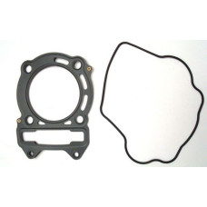 Apache RLX 320 Cylinder Head Gasket & Rocker Cover O-ring