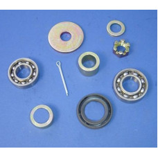 Apache RLX 100 Front Wheel Bearing Kit