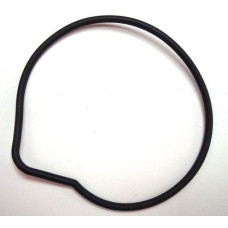 Apache RLX 320 Water Pump Gasket