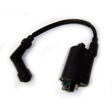 Apache RLX 320/400 Ignition Coil