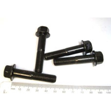 Apache RLX 100 front A-arm bolt 10 x 48