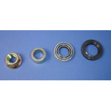 Apache RLX 100 steering stem seal kit