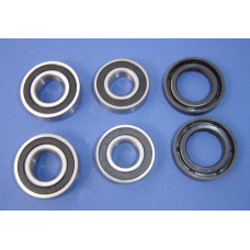 Apache RLX 100 front wheel bearing kit