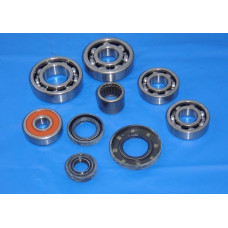 Apache RLX 320/400 Transmission Bearing And Seal Kit