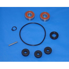 Apache  F100 water pump rebuild kit