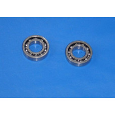 Apache RLX 450 Water Pump Bearings