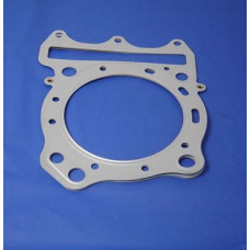 Apache RLX 450 Cylinder Head Gasket