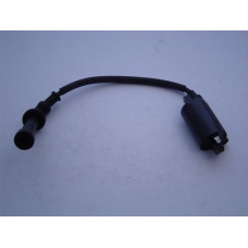 Apache RLX 450 Ignition Coil