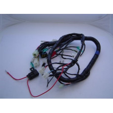 Apache RLX 450 Wiring Loom Harness