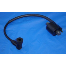 Apache RLX F50/F100 ignition coil