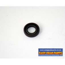 Apache F100 Water Pump High Temperature Seal