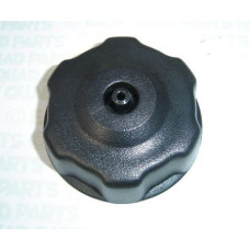 Apache RLX100 fuel tank cap.