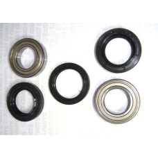 Apache RLX 100 axle bearing & seal kit