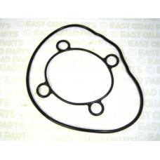 Apache RLX F100 Cylinder Head Gaskets/Top End Gaskets