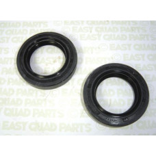 Apache RLX 100 rear axle seals