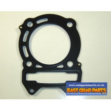 Apache RLX 320 Cylinder Head Gasket