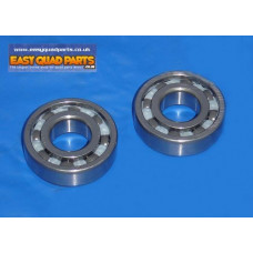 6204-C3 crank main bearings
