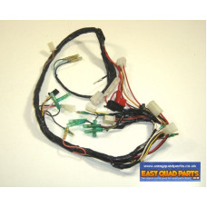 Apache RLX 100 Wiring Loom 2000 onwards