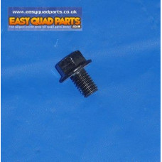 Apache RLX 100 Chain Guard Bolt