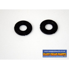 Apache RLX 450 Cylinder Head stem seals