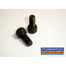 Apache RLX 450 Fuel Tap Bolts