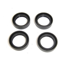 Apache RLX 320/400/450 Rear Swing Arm Pivot Seals