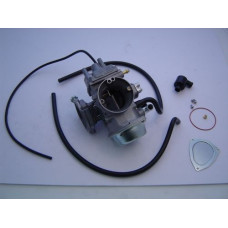 Apache RLX 450 Carburettor Complete